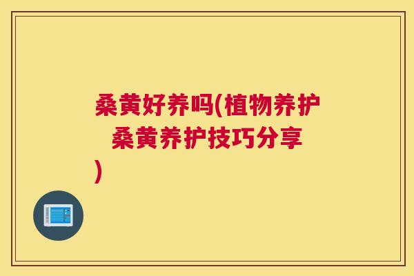 桑黄好养吗(植物养护 桑黄养护技巧分享) 桑黄好养吗(植物养护 桑黄养护技巧分享)