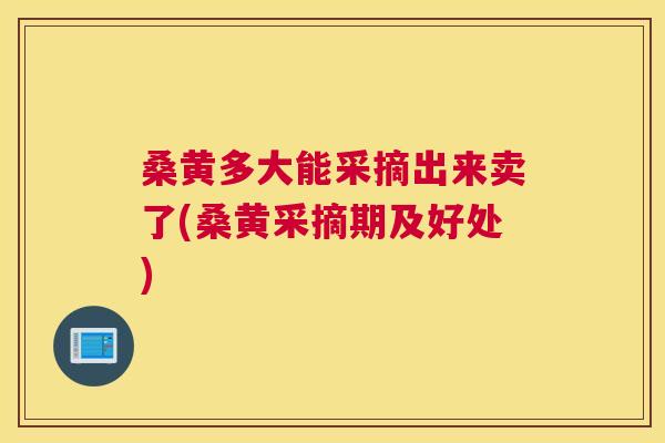 桑黄多大能采摘出来卖了(桑黄采摘期及好处) 桑黄多大能采摘出来卖了(桑黄采摘期及好处)