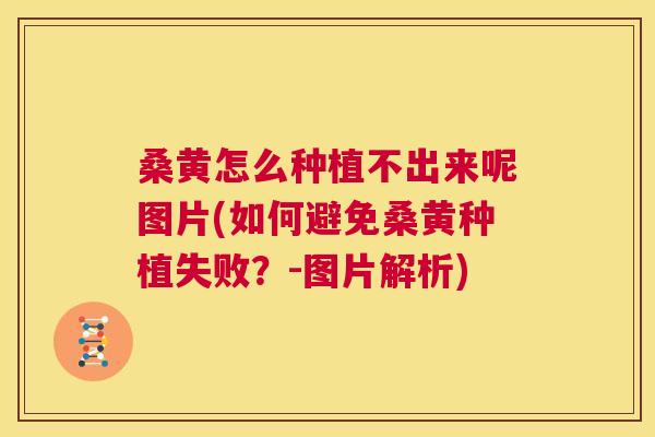 桑黄怎么种植不出来呢图片(如何避免桑黄种植失败?-图片解析) 桑黄怎么种植不出来呢图片(如何避免桑黄种植失败?-图片解析)