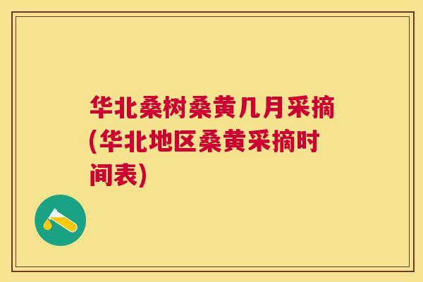 华北桑树桑黄几月采摘(华北地区桑黄采摘时间表) 华北桑树桑黄几月采摘(华北地区桑黄采摘时间表)