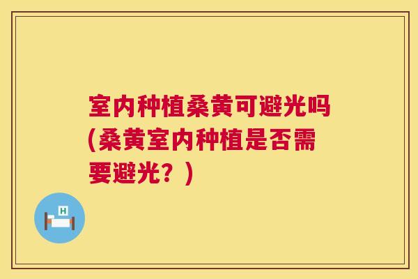 室内种植桑黄可避光吗(桑黄室内种植是否需要避光?) 室内种植桑黄可避光吗(桑黄室内种植是否需要避光?)
