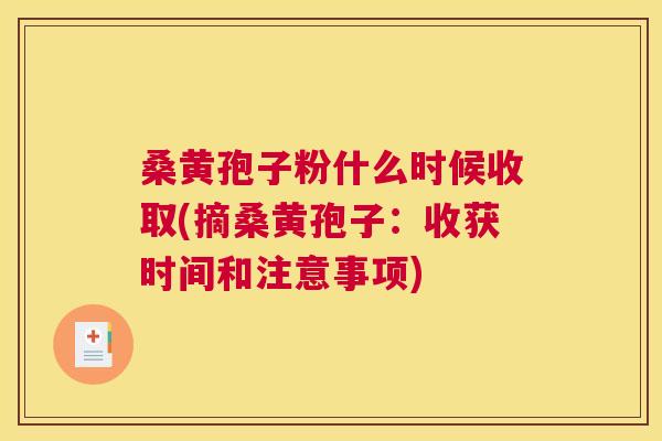 桑黄孢子粉什么时候收取(摘桑黄孢子:收获时间和注意事项) 桑黄孢子粉什么时候收取(摘桑黄孢子:收获时间和注意事项)