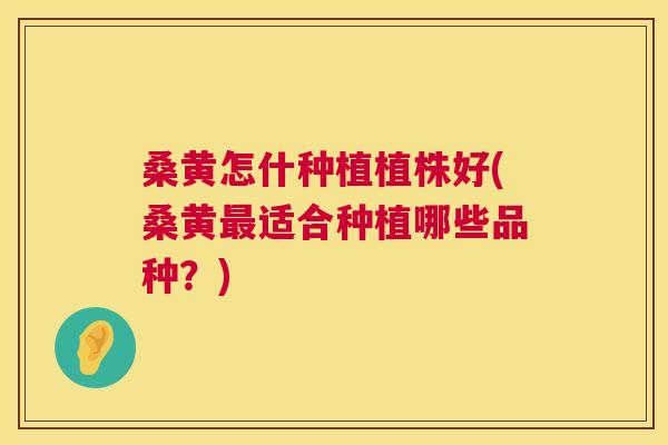 桑黄怎什种植植株好(桑黄适合种植哪些品种?) 桑黄怎什种植植株好(桑黄适合种植哪些品种?)
