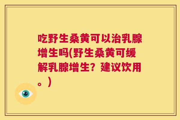 吃野生桑黄可以乳腺增生吗(野生桑黄可缓解乳腺增生?建议饮用。) 吃野生桑黄可以乳腺增生吗(野生桑黄可缓解乳腺增生?建议饮用。)