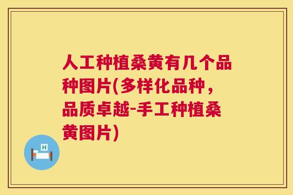 人工种植桑黄有几个品种图片(多样化品种,品质卓越-手工种植桑黄图片) 人工种植桑黄有几个品种图片(多样化品种,品质卓越-手工种植桑黄图片)