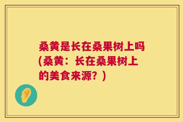 桑黄是长在桑果树上吗(桑黄:长在桑果树上的美食来源?) 桑黄是长在桑果树上吗(桑黄:长在桑果树上的美食来源?)