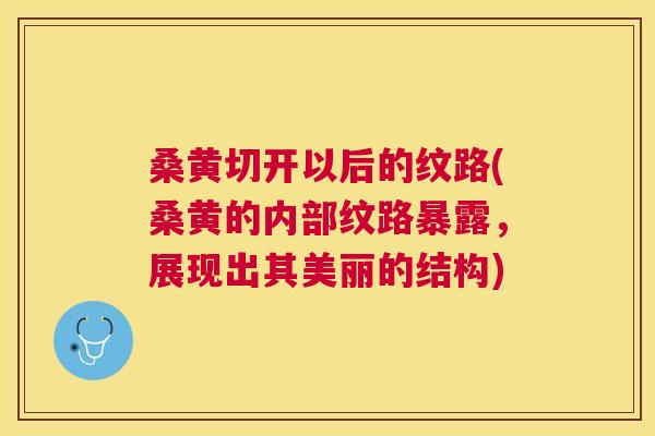 桑黄切开以后的纹路(桑黄的内部纹路暴露，展现出其美丽的结构)