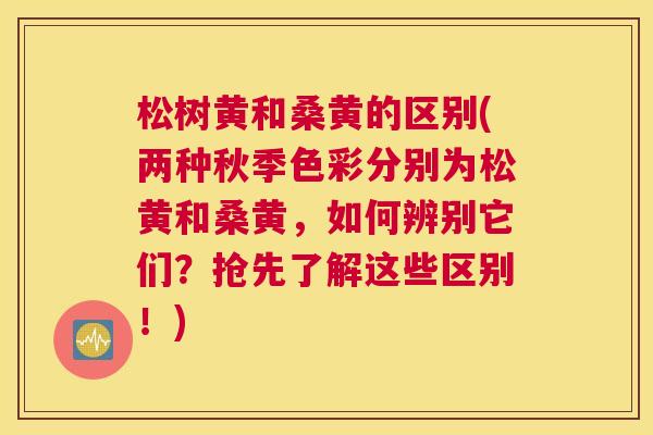松树黄和桑黄的区别(两种秋季色彩分别为松黄和桑黄,如何辨别它们?抢先了解这些区别!) 松树黄和桑黄的区别(两种秋季色彩分别为松黄和桑黄,如何辨别它们?抢先了解这些区别!)