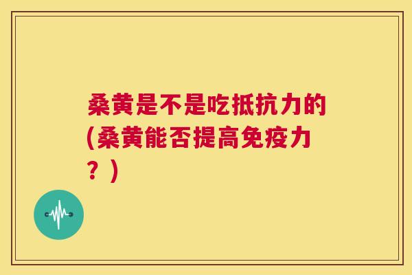 桑黄是不是吃的(桑黄能否提高力？)