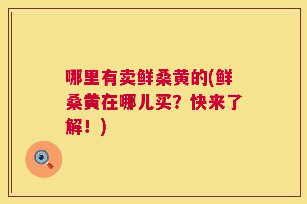 哪里有卖鲜桑黄的(鲜桑黄在哪儿买?快来了解!) 哪里有卖鲜桑黄的(鲜桑黄在哪儿买?快来了解!)