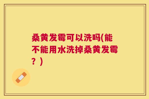 桑黄发霉可以洗吗(能不能用水洗掉桑黄发霉?) 桑黄发霉可以洗吗(能不能用水洗掉桑黄发霉?)