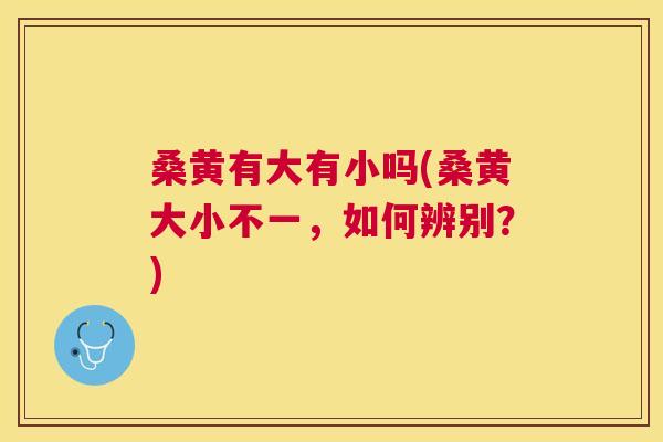 桑黄有大有小吗(桑黄大小不一,如何辨别?) 桑黄有大有小吗(桑黄大小不一,如何辨别?)