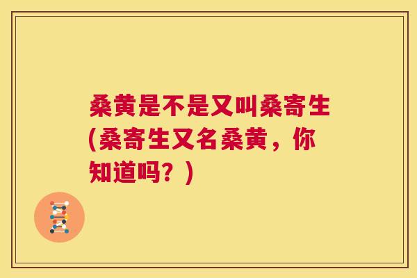 桑黄是不是又叫桑寄生(桑寄生又名桑黄,你知道吗?) 桑黄是不是又叫桑寄生(桑寄生又名桑黄,你知道吗?)