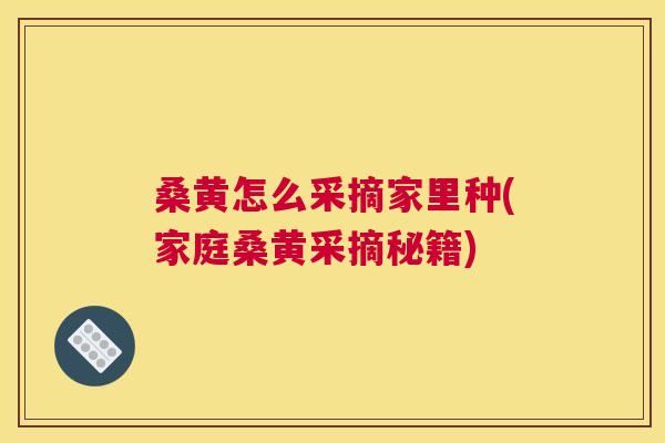 桑黄怎么采摘家里种(家庭桑黄采摘秘籍) 桑黄怎么采摘家里种(家庭桑黄采摘秘籍)