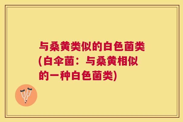 与桑黄类似的白色菌类(白伞菌:与桑黄相似的一种白色菌类) 与桑黄类似的白色菌类(白伞菌:与桑黄相似的一种白色菌类)