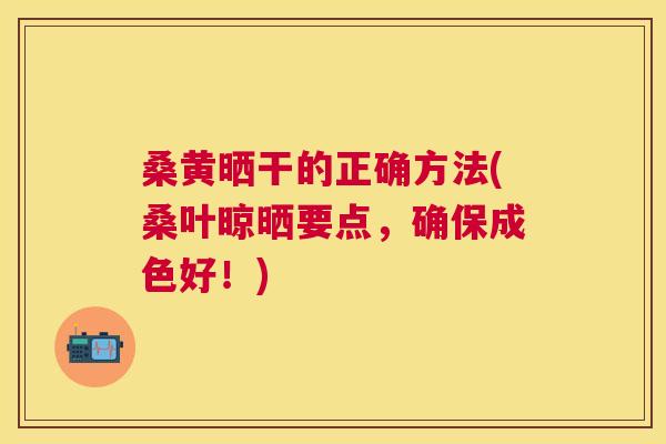 桑黄晒干的正确方法(桑叶晾晒要点,确保成色好!) 桑黄晒干的正确方法(桑叶晾晒要点,确保成色好!)