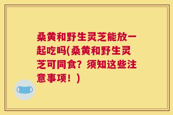 桑黄和野生灵芝能放一起吃吗(桑黄和野生灵芝可同食?须知这些注意事项!) 桑黄和野生灵芝能放一起吃吗(桑黄和野生灵芝可同食?须知这些注意事项!)