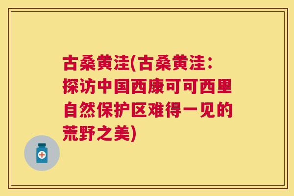 古桑黄洼(古桑黄洼:探访中国西康可可西里自然保护区难得一见的荒野之美) 古桑黄洼(古桑黄洼:探访中国西康可可西里自然保护区难得一见的荒野之美)