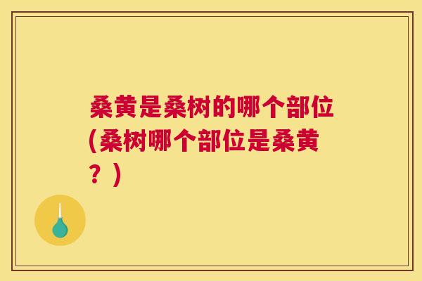 桑黄是桑树的哪个部位(桑树哪个部位是桑黄?) 桑黄是桑树的哪个部位(桑树哪个部位是桑黄?)