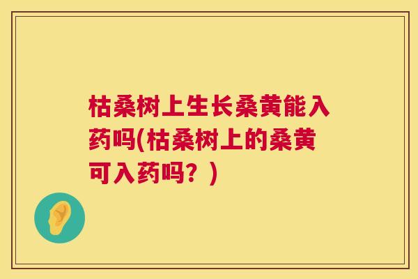 枯桑树上生长桑黄能入药吗(枯桑树上的桑黄可入药吗?) 枯桑树上生长桑黄能入药吗(枯桑树上的桑黄可入药吗?)