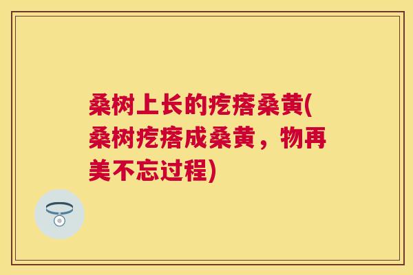 桑树上长的疙瘩桑黄(桑树疙瘩成桑黄,物再美不忘过程) 桑树上长的疙瘩桑黄(桑树疙瘩成桑黄,物再美不忘过程)