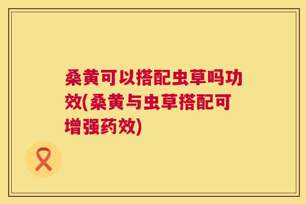 桑黄可以搭配虫草吗功效(桑黄与虫草搭配可增强) 桑黄可以搭配虫草吗功效(桑黄与虫草搭配可增强)