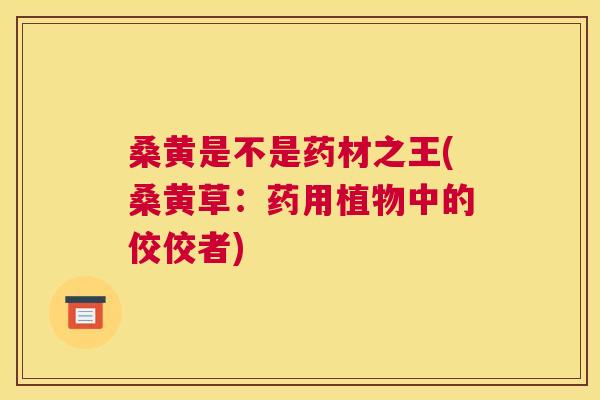 桑黄是不是药材之王(桑黄草:药用植物中的佼佼者) 桑黄是不是药材之王(桑黄草:药用植物中的佼佼者)