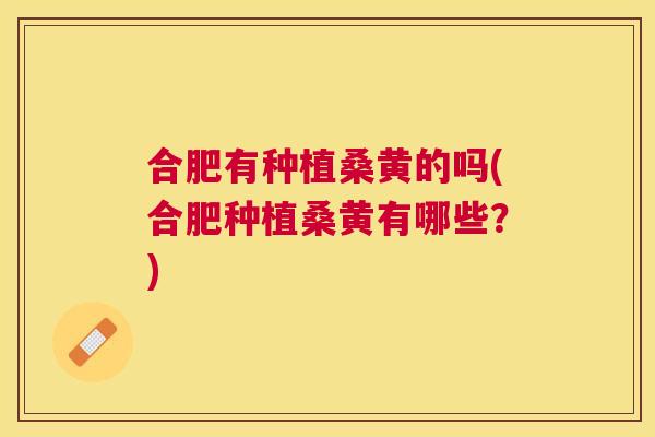 合肥有种植桑黄的吗(合肥种植桑黄有哪些?) 合肥有种植桑黄的吗(合肥种植桑黄有哪些?)