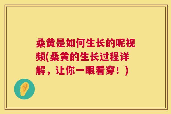 桑黄是如何生长的呢视频(桑黄的生长过程详解,让你一眼看穿!) 桑黄是如何生长的呢视频(桑黄的生长过程详解,让你一眼看穿!)