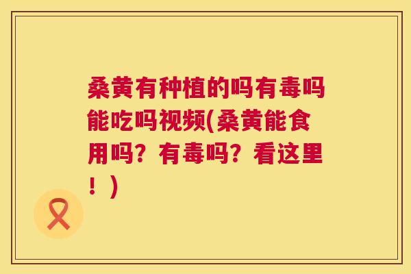 桑黄有种植的吗有毒吗能吃吗视频(桑黄能食用吗?有毒吗?看这里!) 桑黄有种植的吗有毒吗能吃吗视频(桑黄能食用吗?有毒吗?看这里!)