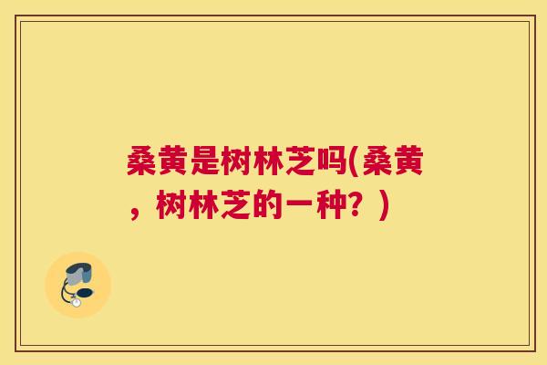 桑黄是树林芝吗(桑黄,树林芝的一种?) 桑黄是树林芝吗(桑黄,树林芝的一种?)