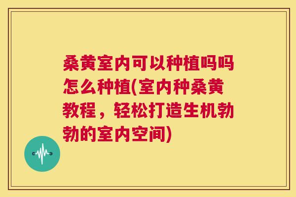 桑黄室内可以种植吗吗怎么种植(室内种桑黄教程,轻松打造生机勃勃的室内空间) 桑黄室内可以种植吗吗怎么种植(室内种桑黄教程,轻松打造生机勃勃的室内空间)