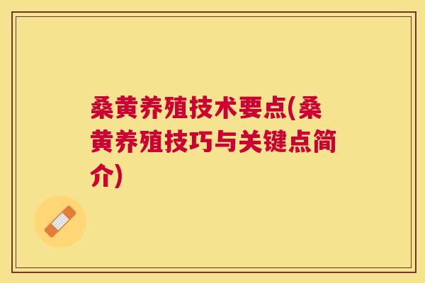 桑黄养殖技术要点(桑黄养殖技巧与关键点简介) 桑黄养殖技术要点(桑黄养殖技巧与关键点简介)