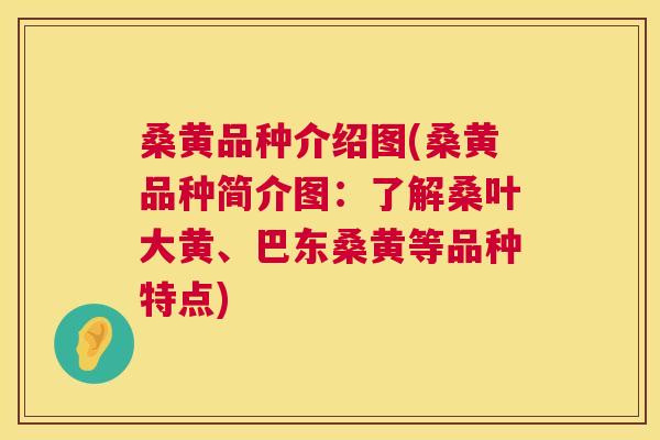 桑黄品种介绍图(桑黄品种简介图:了解桑叶大黄、巴东桑黄等品种特点) 桑黄品种介绍图(桑黄品种简介图:了解桑叶大黄、巴东桑黄等品种特点)