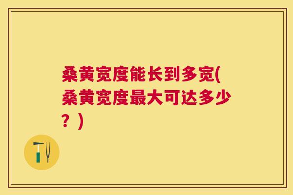 桑黄宽度能长到多宽(桑黄宽度大可达多少?) 桑黄宽度能长到多宽(桑黄宽度大可达多少?)