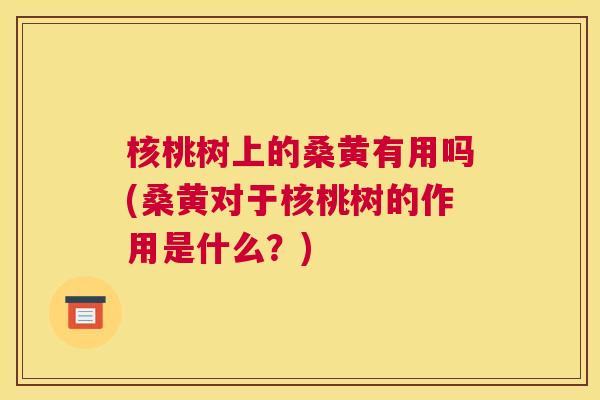 核桃树上的桑黄有用吗(桑黄对于核桃树的作用是什么?) 核桃树上的桑黄有用吗(桑黄对于核桃树的作用是什么?)