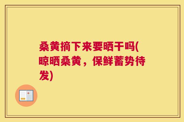 桑黄摘下来要晒干吗(晾晒桑黄,保鲜蓄势待发) 桑黄摘下来要晒干吗(晾晒桑黄,保鲜蓄势待发)