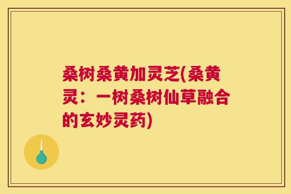 桑树桑黄加灵芝(桑黄灵:一树桑树仙草融合的玄妙灵药) 桑树桑黄加灵芝(桑黄灵:一树桑树仙草融合的玄妙灵药)