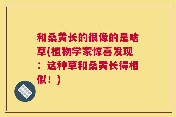 和桑黄长的很像的是啥草(植物学家惊喜发现：这种草和桑黄长得相似！)