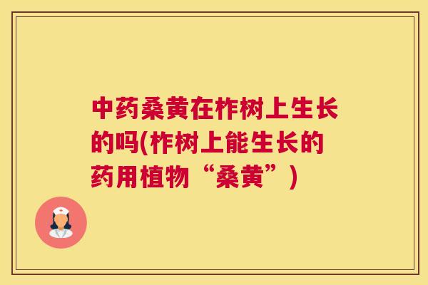 桑黄在柞树上生长的吗(柞树上能生长的药用植物“桑黄”) 桑黄在柞树上生长的吗(柞树上能生长的药用植物“桑黄”)