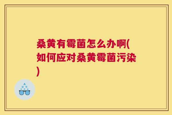 桑黄有霉菌怎么办啊(如何应对桑黄霉菌污染) 桑黄有霉菌怎么办啊(如何应对桑黄霉菌污染)