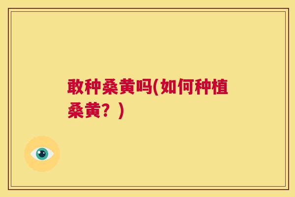 敢种桑黄吗(如何种植桑黄?) 敢种桑黄吗(如何种植桑黄?)