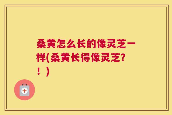 桑黄怎么长的像灵芝一样(桑黄长得像灵芝?!) 桑黄怎么长的像灵芝一样(桑黄长得像灵芝?!)