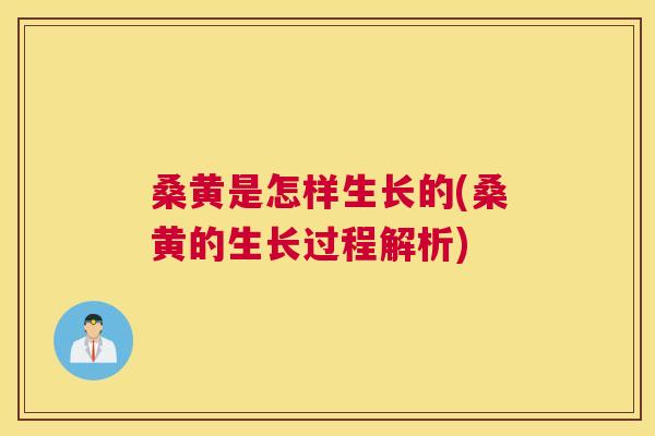 桑黄是怎样生长的(桑黄的生长过程解析) 桑黄是怎样生长的(桑黄的生长过程解析)