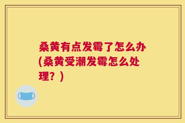 桑黄有点发霉了怎么办(桑黄受潮发霉怎么处理?) 桑黄有点发霉了怎么办(桑黄受潮发霉怎么处理?)