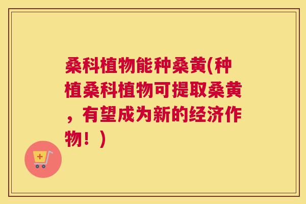 桑科植物能种桑黄(种植桑科植物可提取桑黄,有望成为新的经济作物!) 桑科植物能种桑黄(种植桑科植物可提取桑黄,有望成为新的经济作物!)