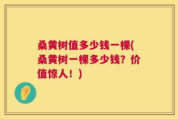 桑黄树值多少钱一棵(桑黄树一棵多少钱?价值惊人!) 桑黄树值多少钱一棵(桑黄树一棵多少钱?价值惊人!)