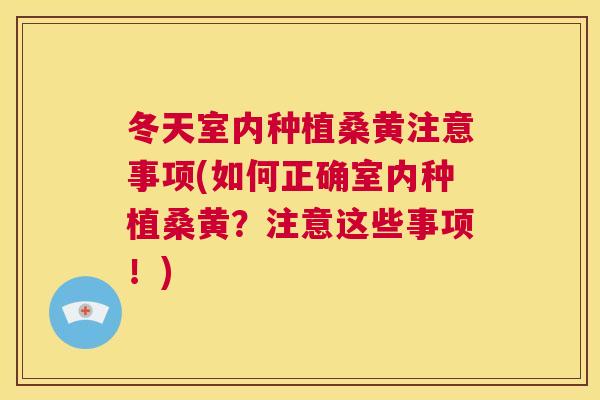 冬天室内种植桑黄注意事项(如何正确室内种植桑黄?注意这些事项!) 冬天室内种植桑黄注意事项(如何正确室内种植桑黄?注意这些事项!)