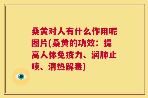 桑黄对人有什么作用呢图片(桑黄的功效:提高人体力、润止咳、清热) 桑黄对人有什么作用呢图片(桑黄的功效:提高人体力、润止咳、清热)