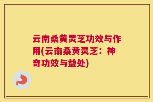 云南桑黄灵芝功效与作用(云南桑黄灵芝:神奇功效与益处) 云南桑黄灵芝功效与作用(云南桑黄灵芝:神奇功效与益处)